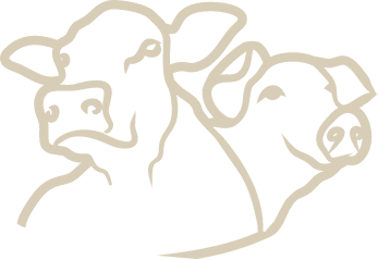 Logo stilizzato di mucca e maiale per agriturismo di montagna