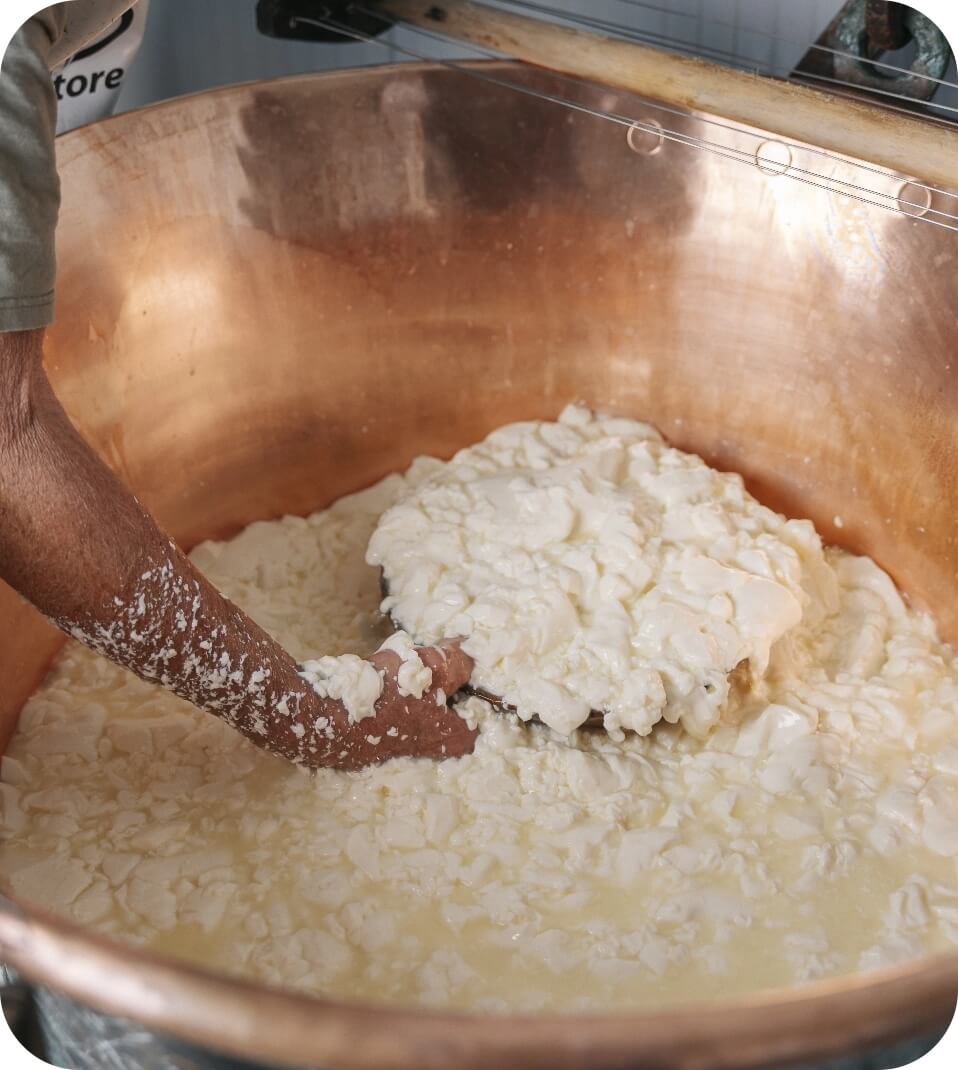 Mano che raccoglie la cagliata in caldaia per fare il formaggio